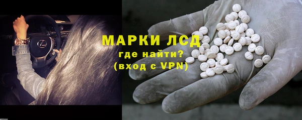 хмурый Алзамай