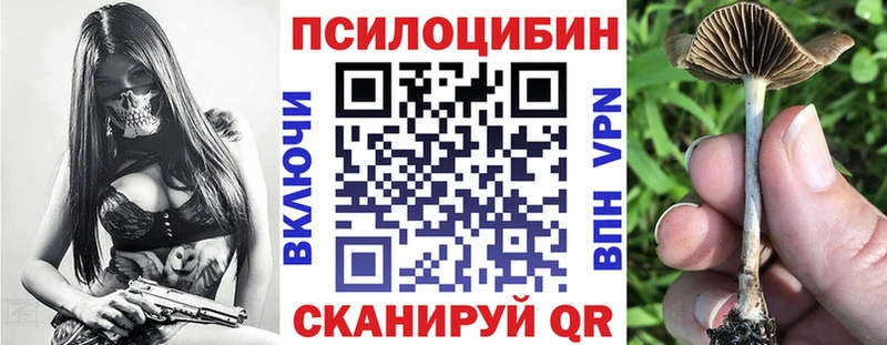 Галлюциногенные грибы Cubensis Балабаново